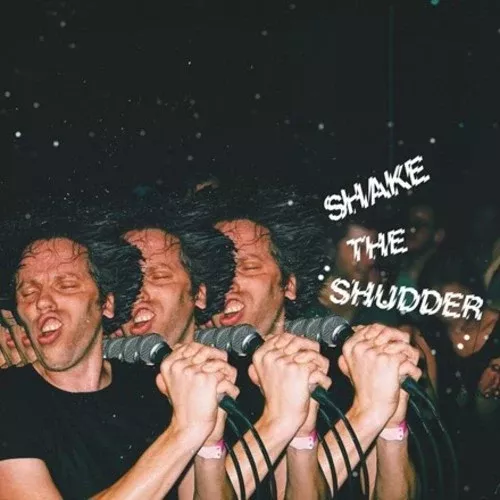 !!! Chk Chk Chk - Shake The Shudder [Transparent Vinyl]